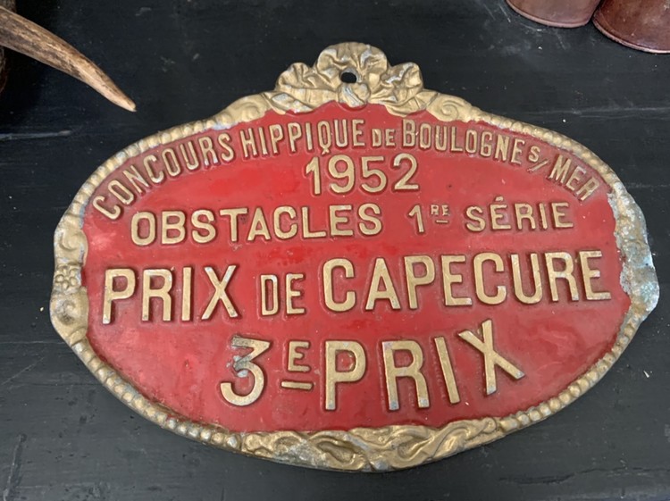 Lot of stable plaques with age