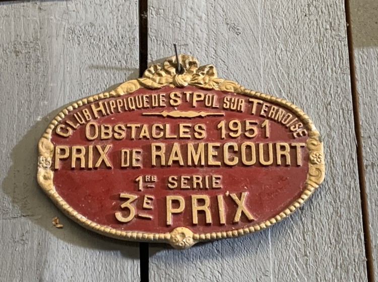 Lot of stable plaques with age